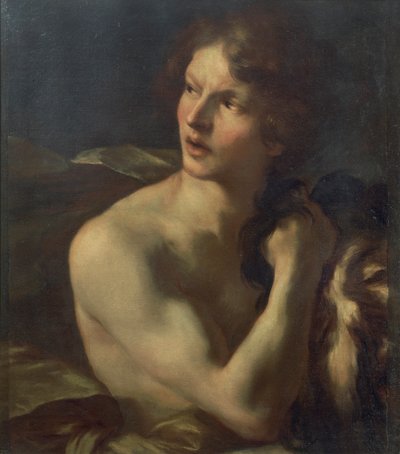 Davide da Gian Lorenzo Bernini